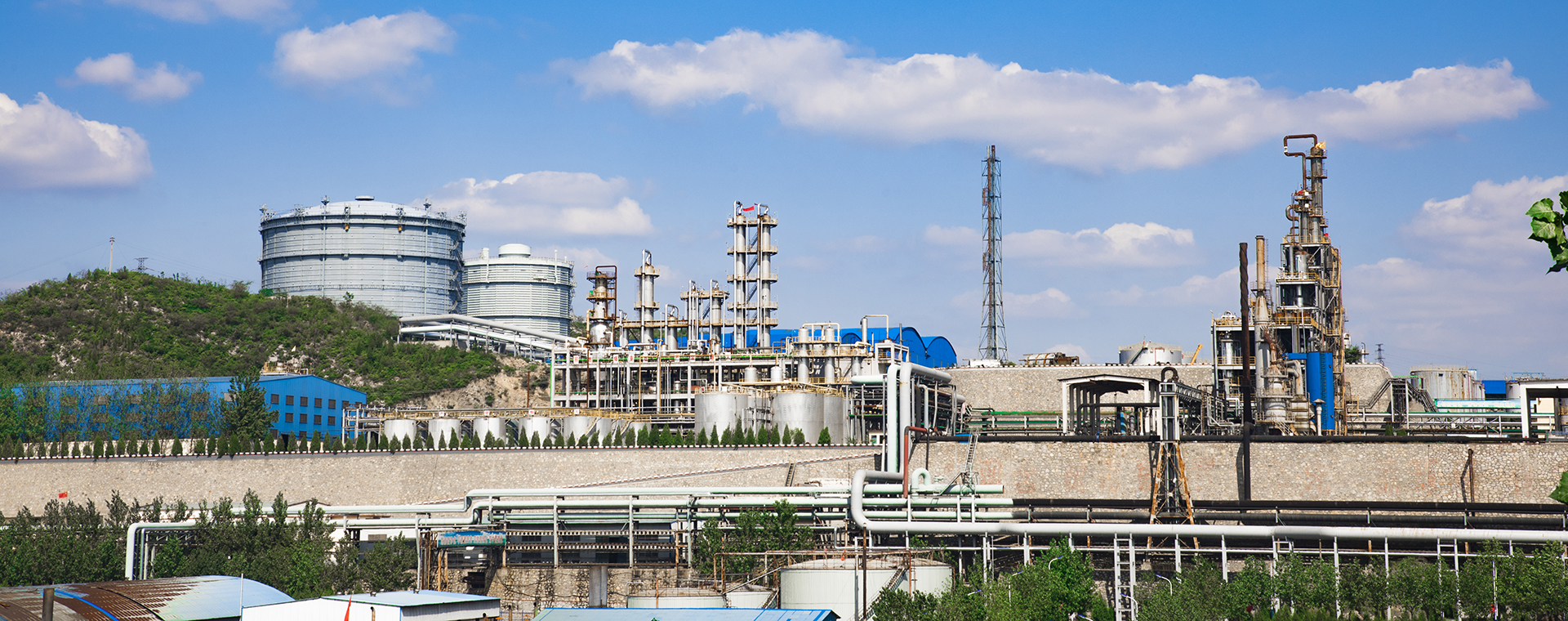 美丽美狮贵宾会