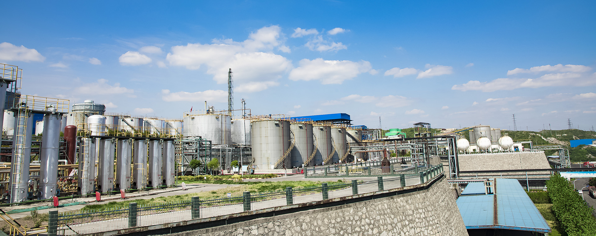 美丽美狮贵宾会