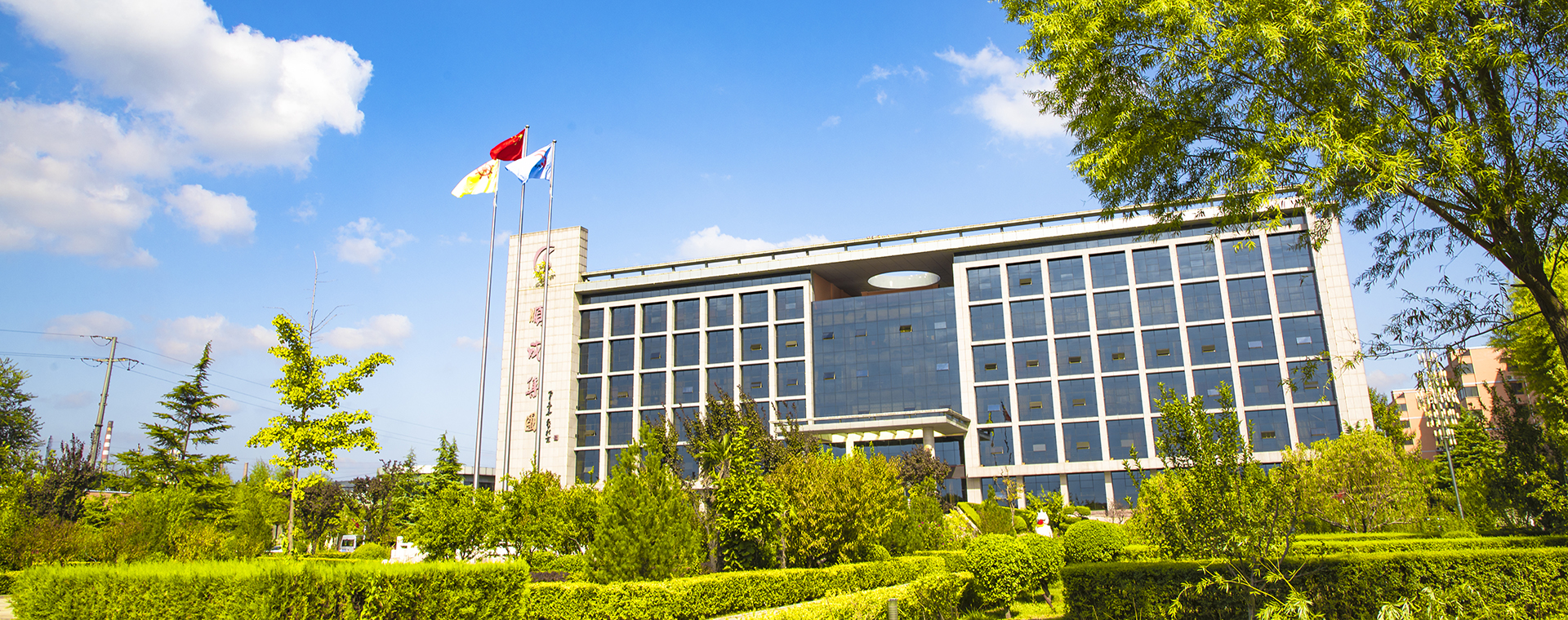 美丽美狮贵宾会