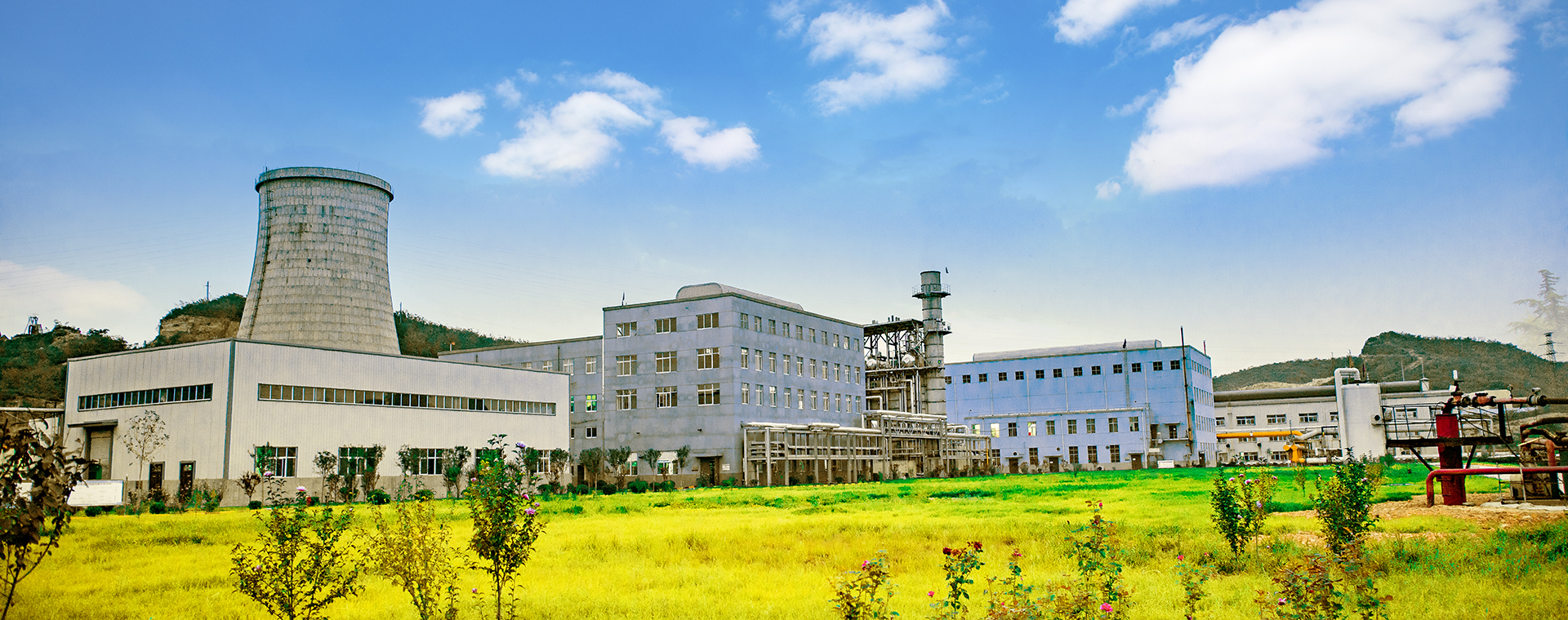 美丽美狮贵宾会